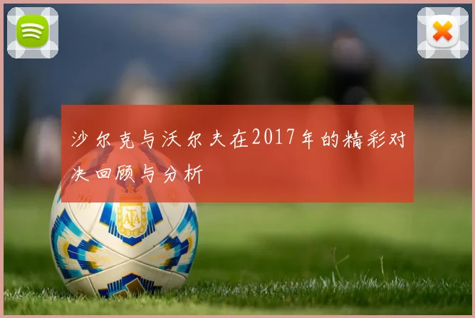 沙尔克与沃尔夫在2017年的精彩对决回顾与分析