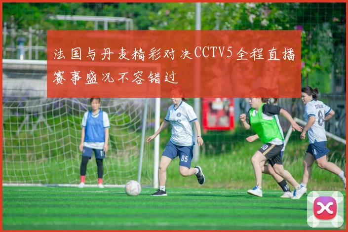 法国与丹麦精彩对决CCTV5全程直播赛事盛况不容错过