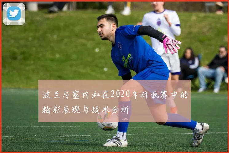 波兰与塞内加在2020年对抗赛中的精彩表现与战术分析