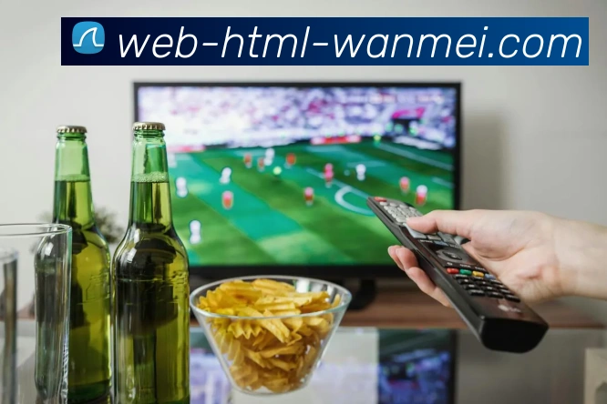 App Interface Preview